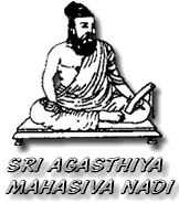 ��� �������