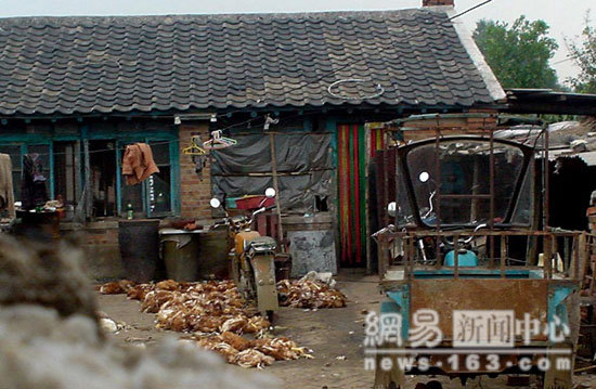 Storage for the dead chicken in the court yard