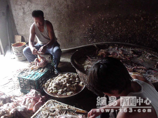 4 employees start de-feathering the dead fowl after soaking in boiling water from a rusty wok
