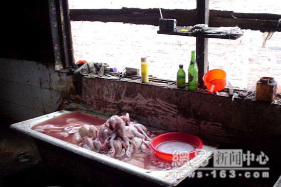 A discarded bath tub being used to soak the bare skin dead chicken ... the contaminated water would have accelerated the decomposition process