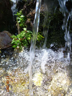Это самый лучший водопровод! Чистейшая хрустальная вода! Когда нам пришлось проходить индийские города мы поняли насколько этот водопровод был чистый!