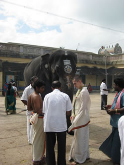 Слоник на работе.