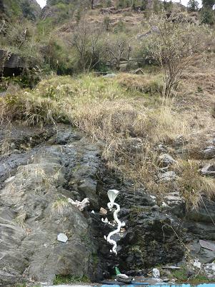 Житель Долины! Может, Хозяин? -:))) В любом случае, наверное, очень похож на настоящего Нага, кроме размера! -:)))