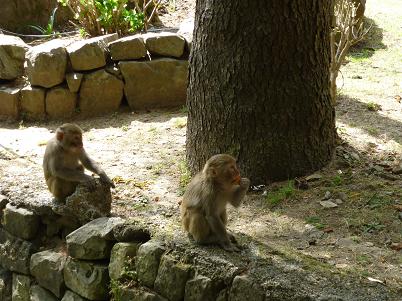 Процесс продолжается!!!!! -:))))))))))))