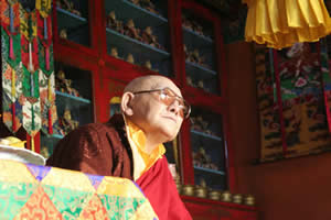 Его Святейшество Богдо-Гоген Римпоче. Индия, Дхарамсала 2006