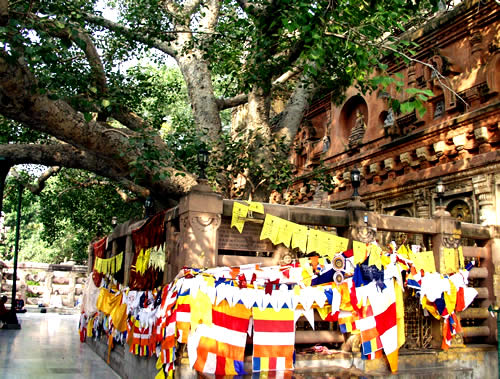 ������ �����