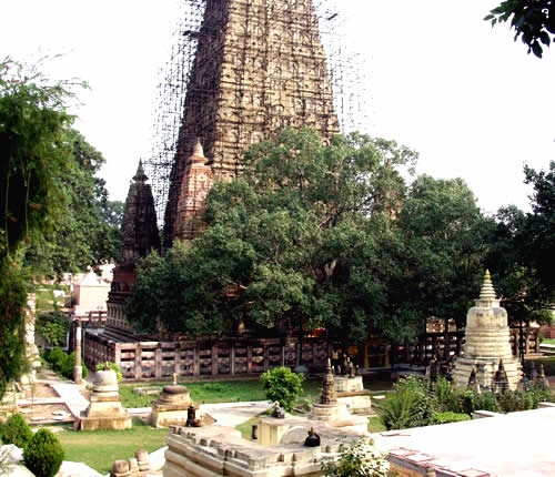 ���� �����