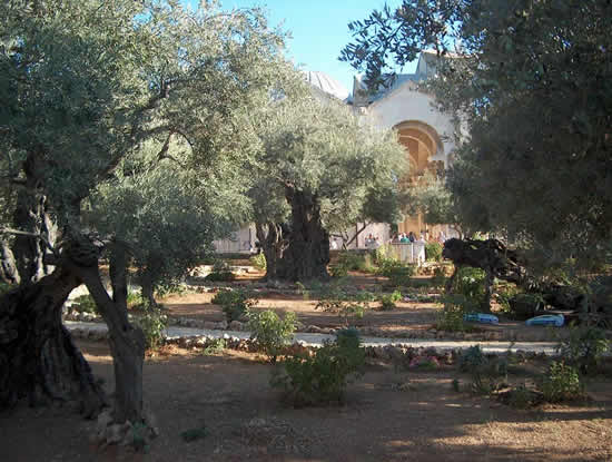 ��������� ���������� �������