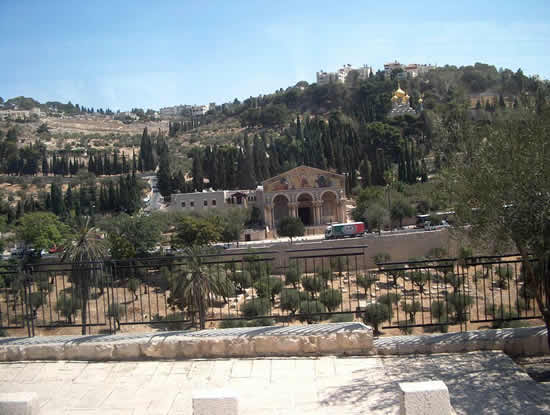 ������������ ���