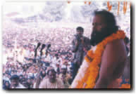 ����� ����