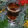 tea made from pine needles