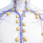 the lymphatic system